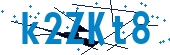 recaptcha