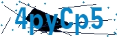 recaptcha