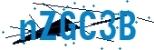 recaptcha