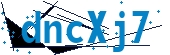 recaptcha