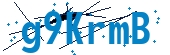 recaptcha